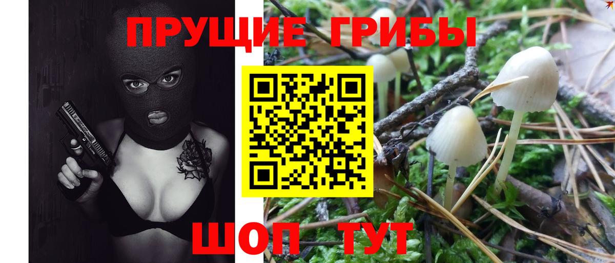 Югорск  Псилоцибиновые грибы Psilocybe  Вход с VPN 
